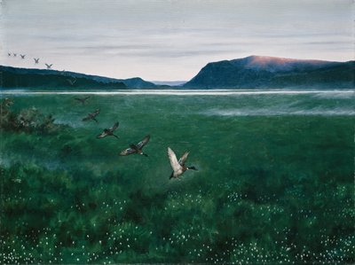 Les douze canards sauvages - Theodor Kittelsen